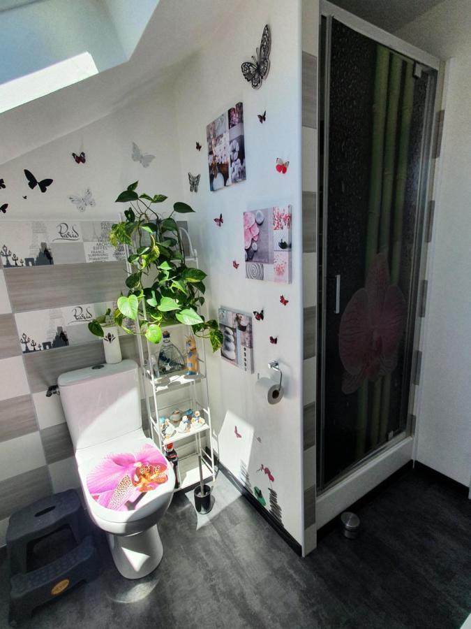 Gite M Et M Nébouzat Exteriör bild