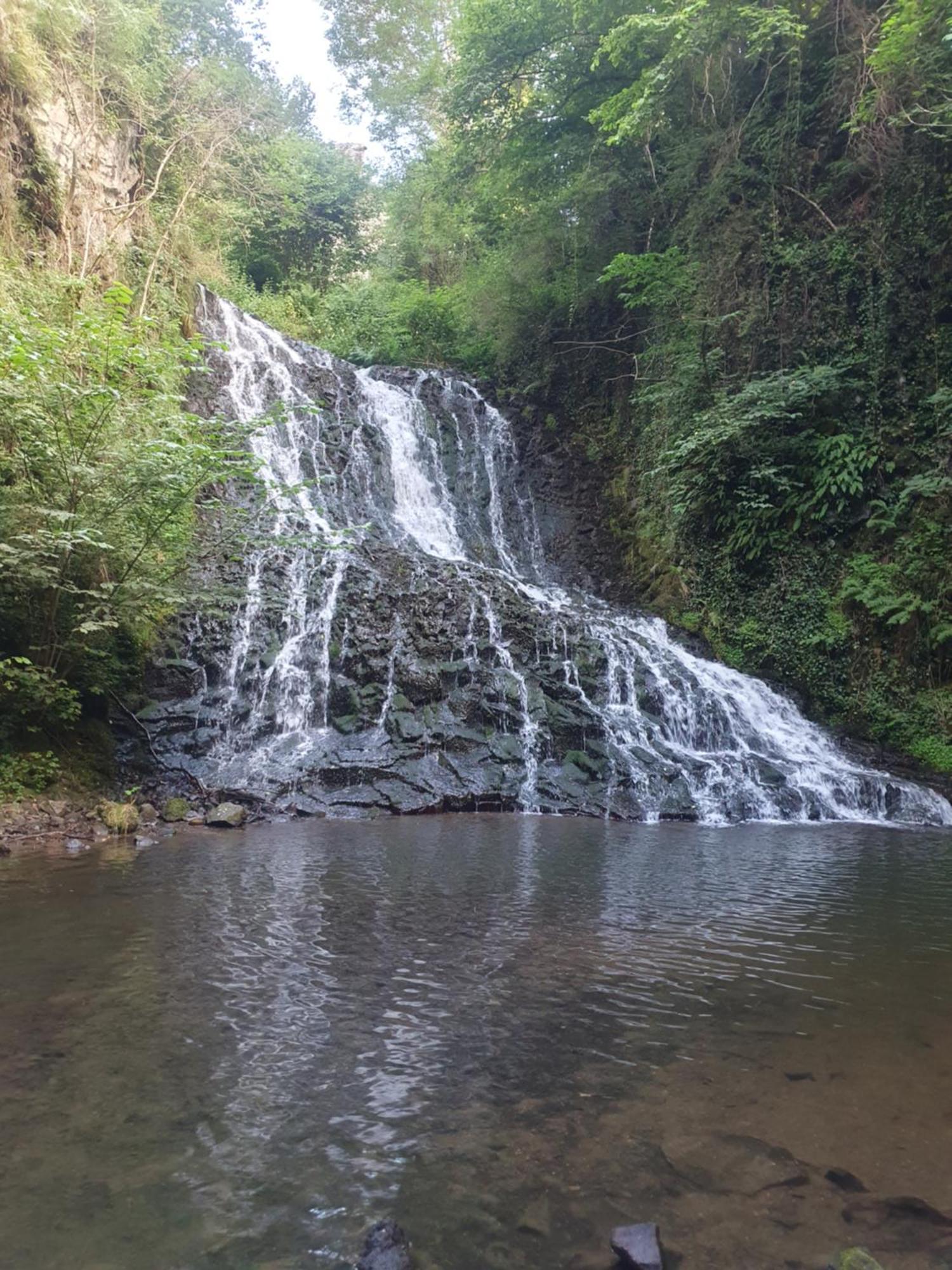 Gite M Et M Nébouzat Exteriör bild